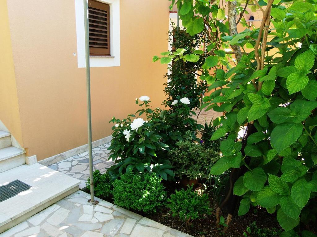 Apartments Beba Mali Lošinj Quarto foto