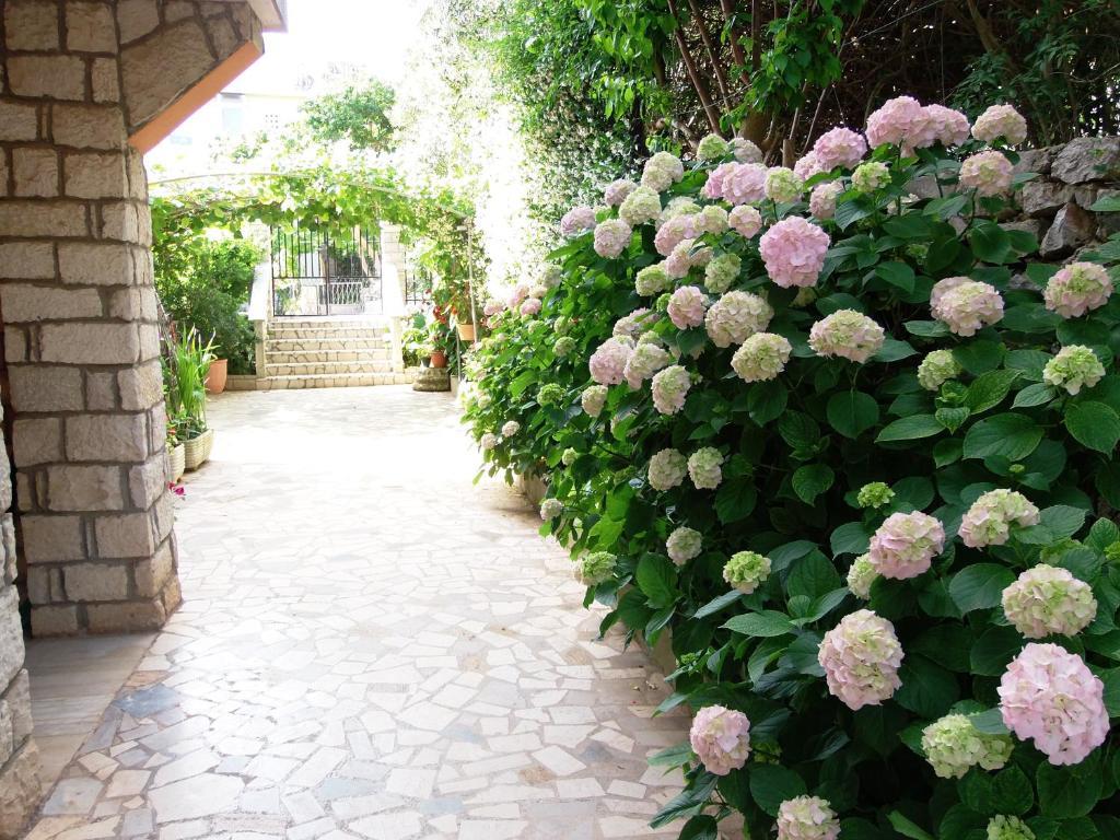 Apartments Beba Mali Lošinj Quarto foto